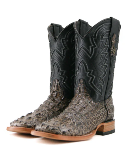 Rock Em' Jameson Caiman (Slate Gray)